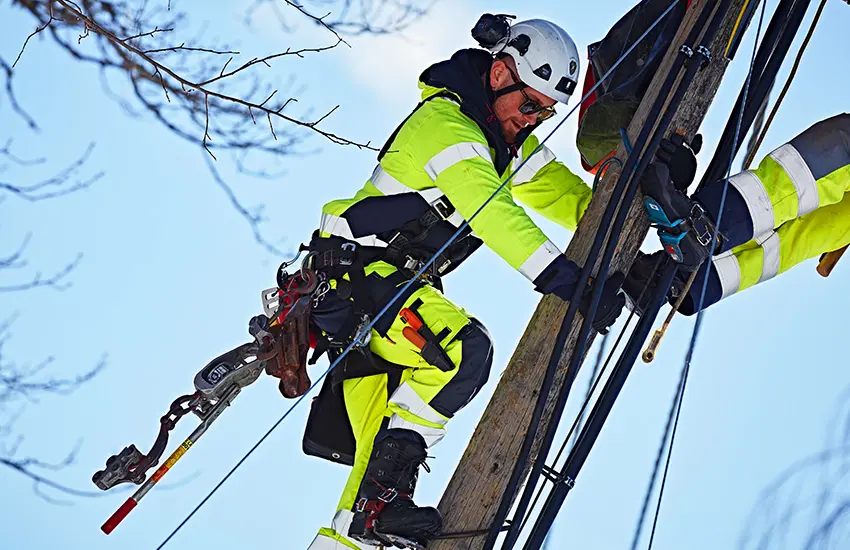 werkkleding werkschoenen PBM winkel yellowcart